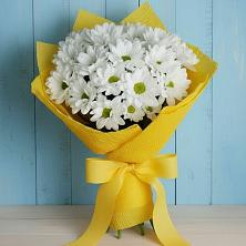 Букет цветов из:  Хризантемы в Огаревка