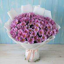 Букет цветов из:  Хризантемы #REPLACE_PRED# Огаревка