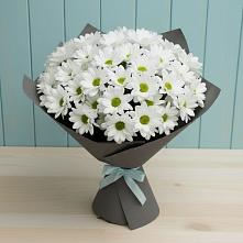 Букет цветов из:  Хризантемы #REPLACE_PRED# Огаревка