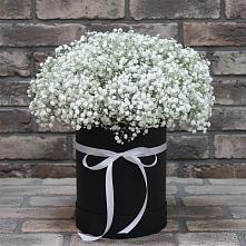 Цветочная композиция из Гипсофила в шляпной коробке в Огаревка