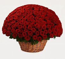 Премиум букет из: Розы в Огаревка