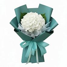 Букет цветов из:  Гортензия #REPLACE_PRED# Огаревка